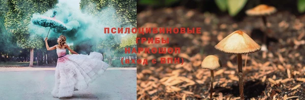 трава Медногорск