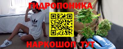 винт Камышлов
