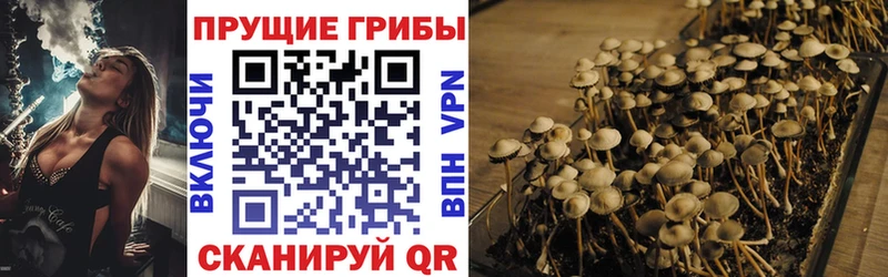 Псилоцибиновые грибы прущие грибы  Купить где  Уварово 