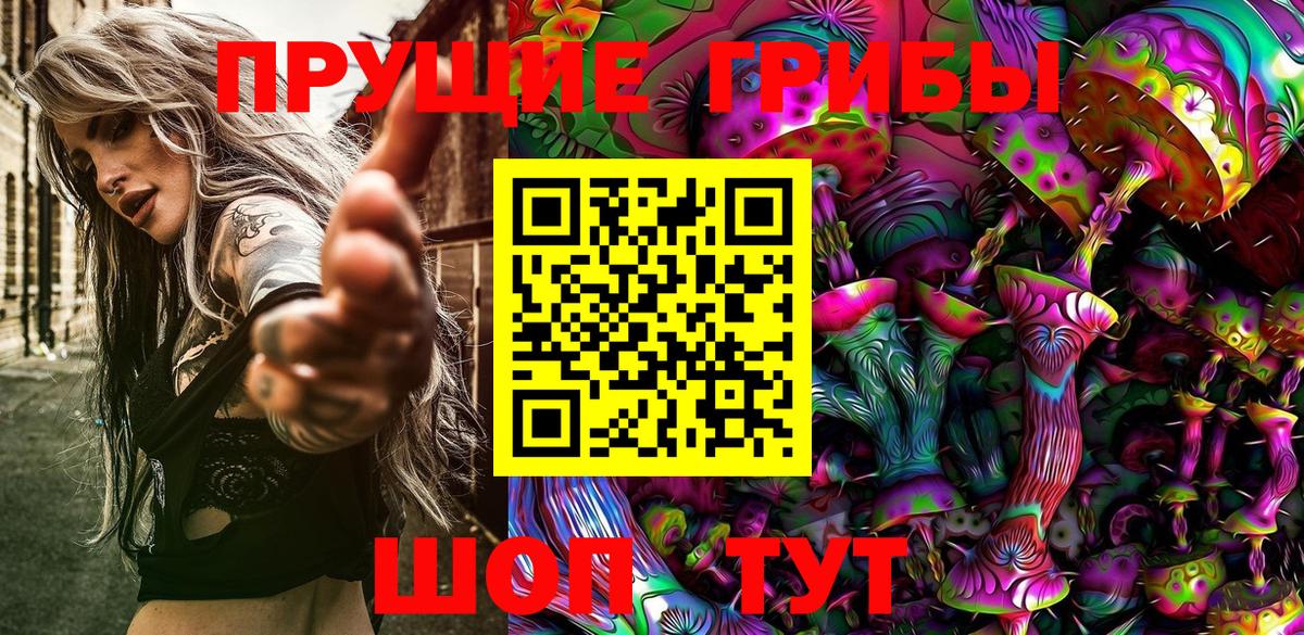 Псилоцибиновые грибы Cubensis  Уварово  Псилоцибиновые грибы MAGIC MUSHROOMS 