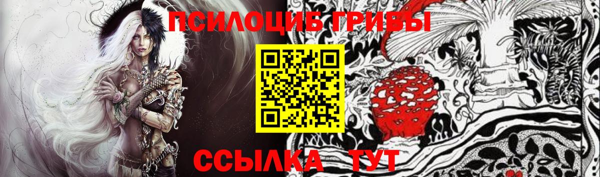 Уварово  Галлюциногенные грибы Cubensis  Вход с VPN 