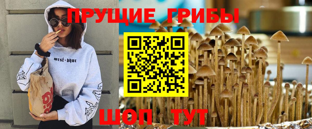 Галлюциногенные грибы ЛСД Уварово
